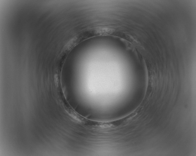 X0000054420716200508121751