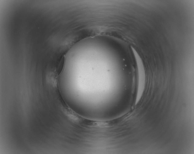 X0000054420719200508121751