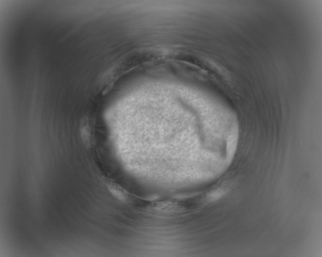 X0000054420720200508121751