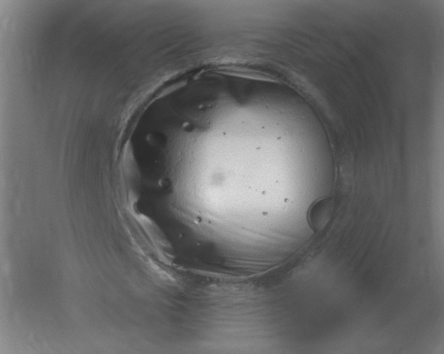 X0000054420721200508121750