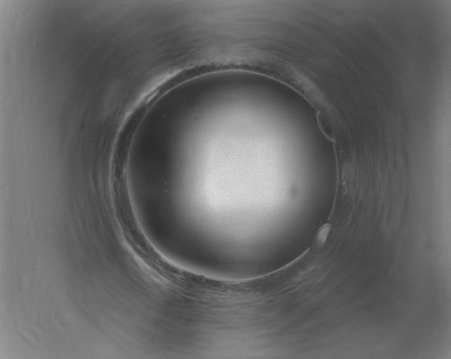 X0000054420722200508121750