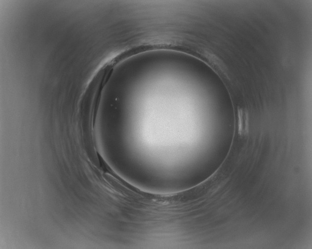 X0000054420723200508121750