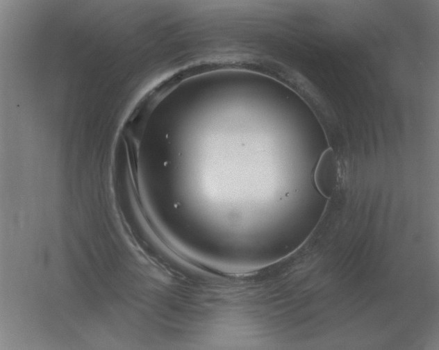 X0000054420724200508121750