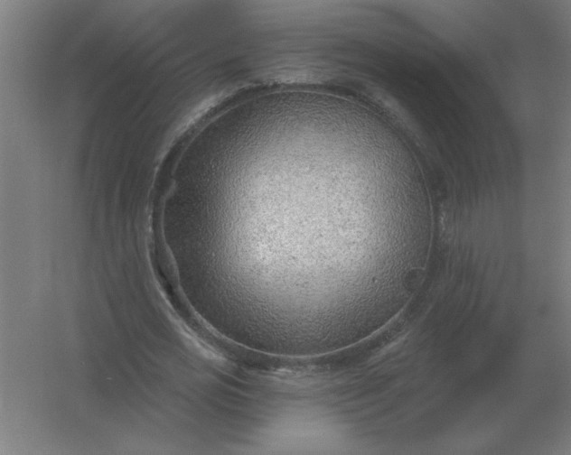 X0000054420725200508121750