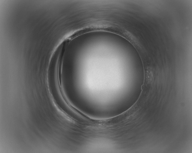 X0000054420726200508121750