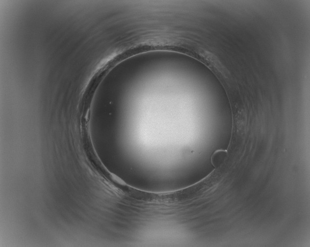 X0000054420727200508121751