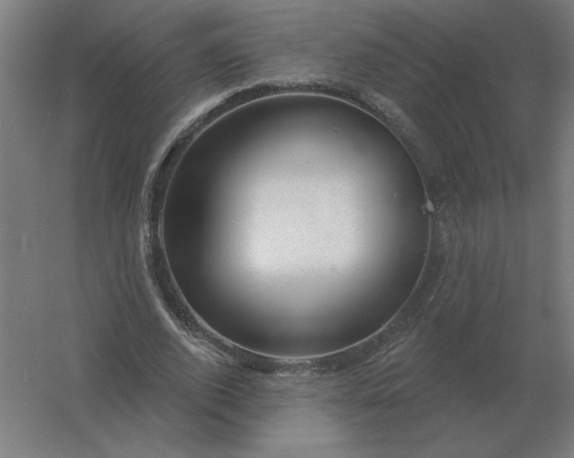 X0000054420728200508121751