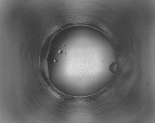 X0000054420729200508121751