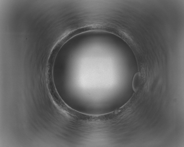 X0000054420730200508121751