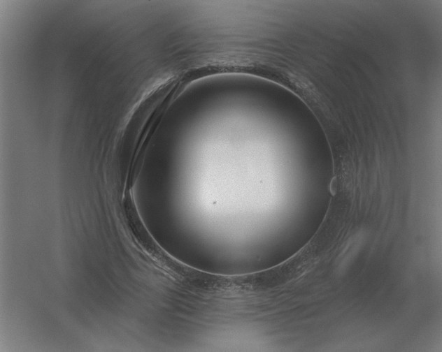 X0000054420731200508121751