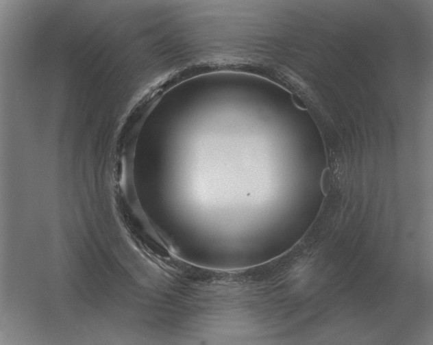 X0000054420732200508121751