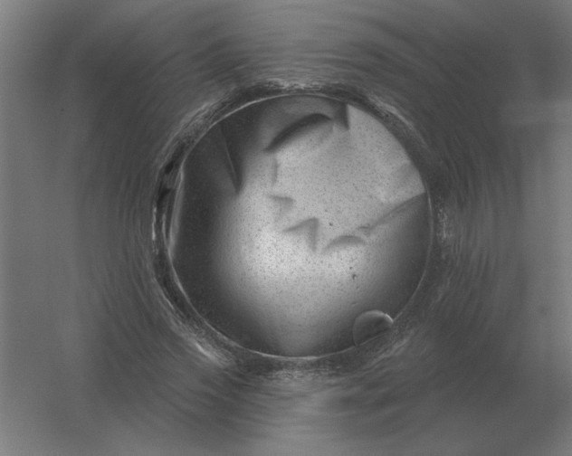 X0000054420733200508121751