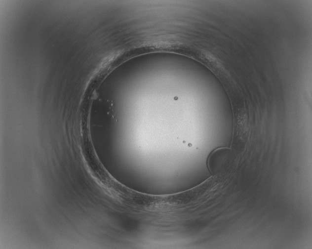 X0000054420734200508121751