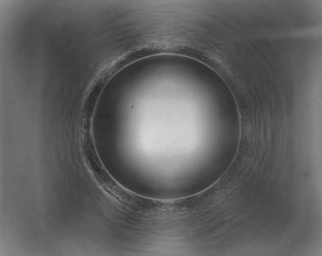 X0000054420736200508121751