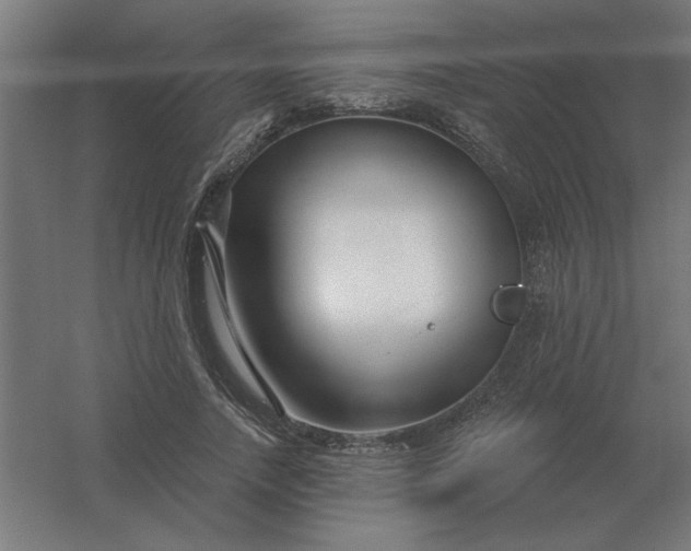 X0000054420738200508121751