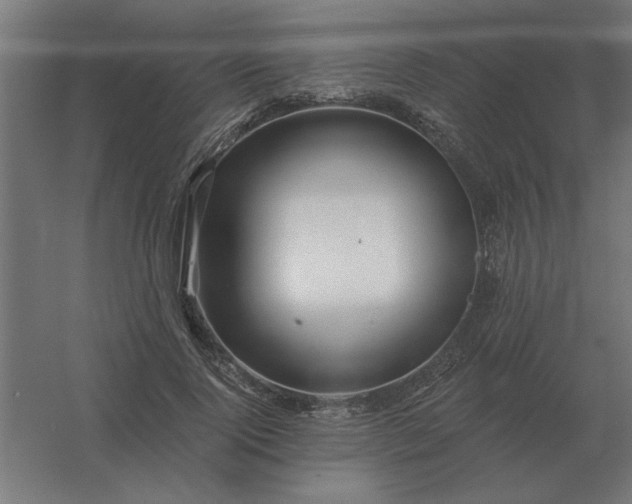 X0000054420740200508121751