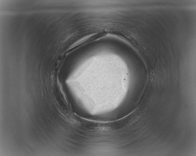 X0000054420741200508121751