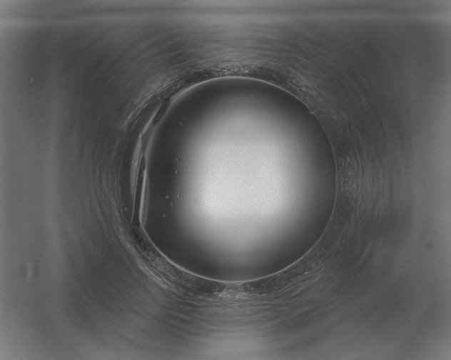 X0000054420742200508121751