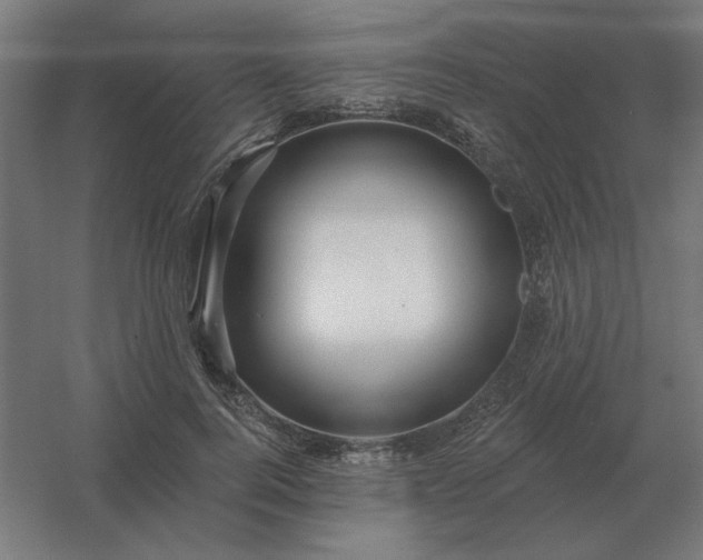 X0000054420744200508121751