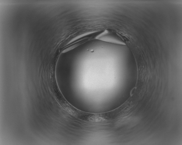 X0000054420747200508121751