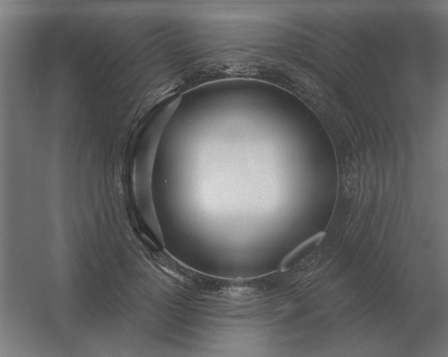 X0000054420748200508121751