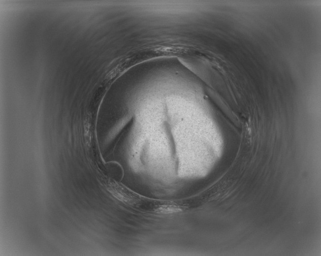 X0000054420749200508121751