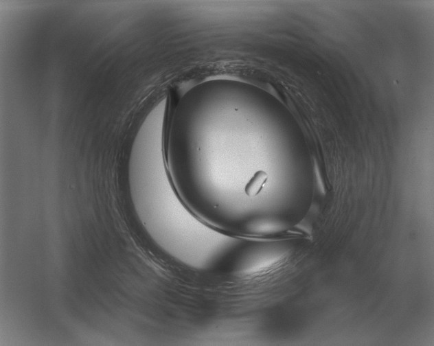 X0000054420750200508121751