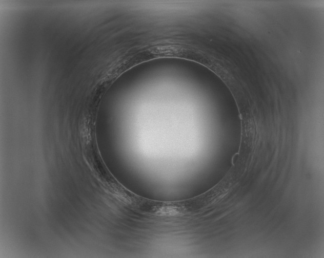 X0000054420751200508121751