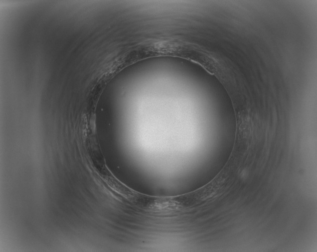 X0000054420752200508121751