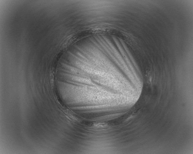 X0000054420753200508121751