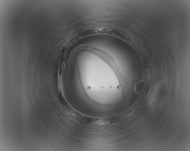 X0000054420754200508121751