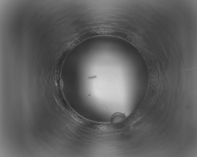 X0000054420755200508121751