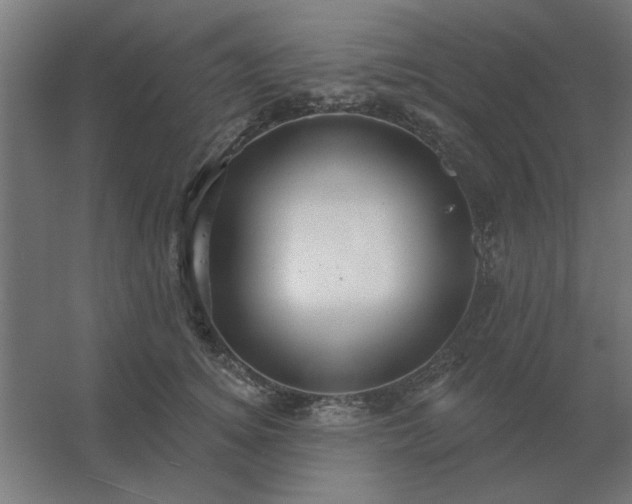 X0000054420756200508121751