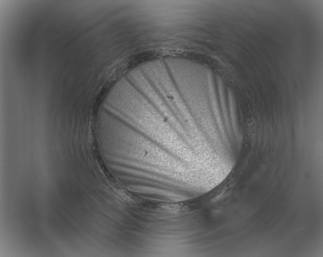 X0000054420757200508121751