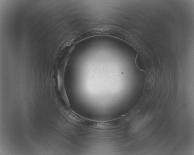 X0000054420758200508121751