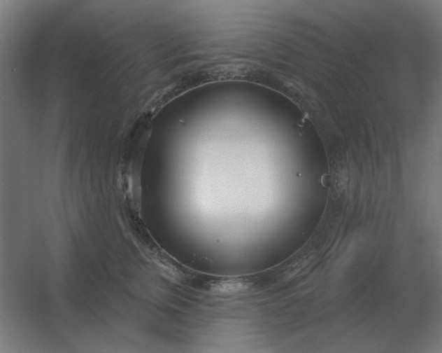 X0000054420759200508121751