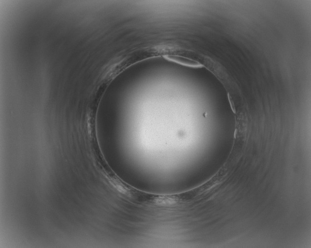 X0000054420762200508121751