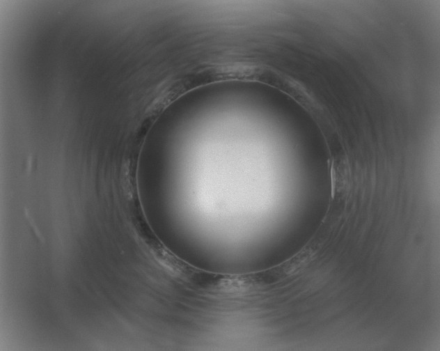 X0000054420764200508121751