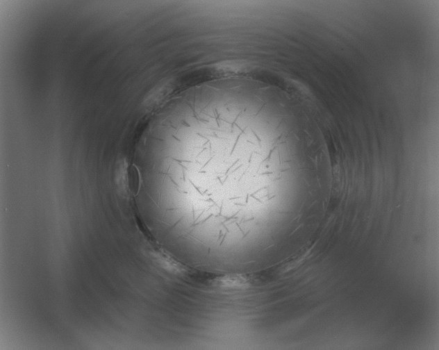 X0000054420765200508121751