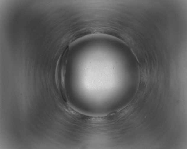 X0000054420766200508121751