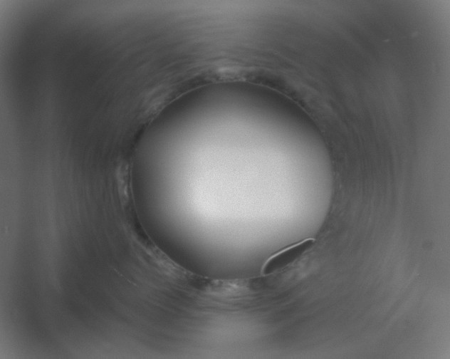 X0000054420768200508121751