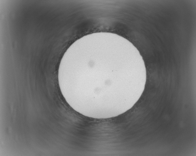 X0000054420769200508121750