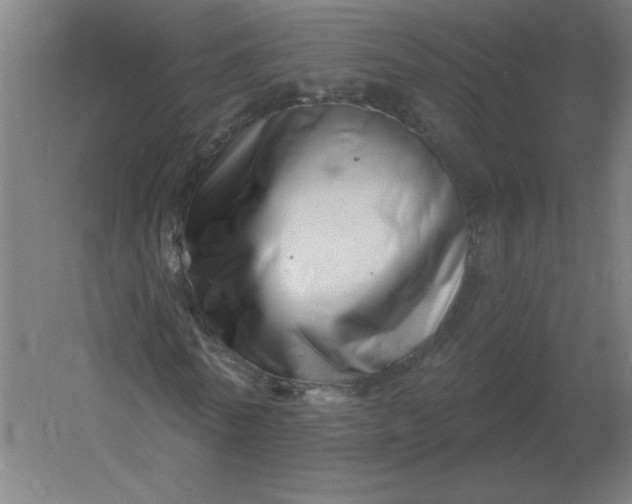 X0000054420770200508121750