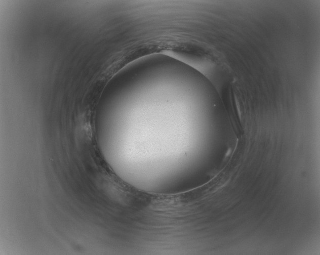 X0000054420771200508121750