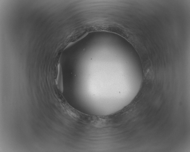 X0000054420772200508121750