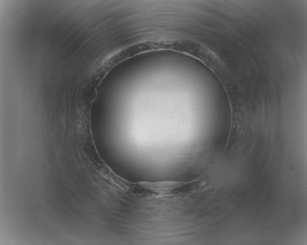 X0000054420773200508121750