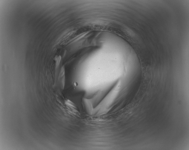 X0000054420774200508121750