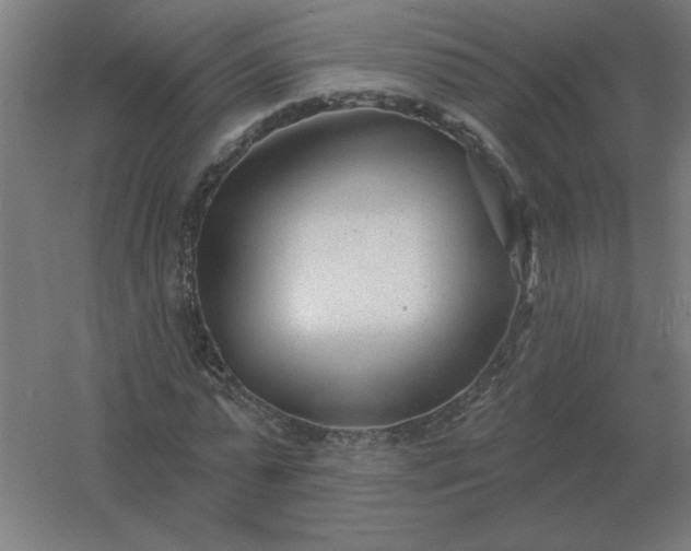 X0000054420775200508121750