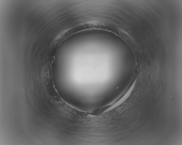 X0000054420776200508121750