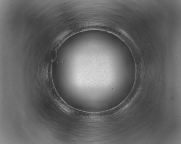 X0000054420777200508121750